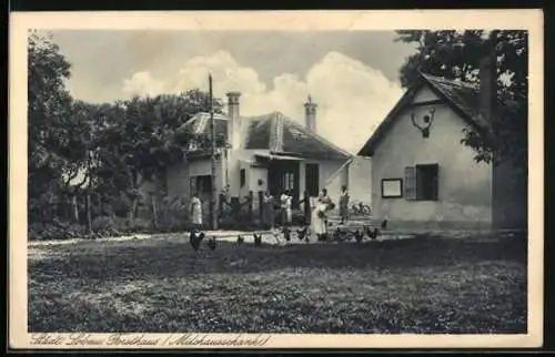 AK Wien, Städt. Lobau, Forsthaus, Milchausschank