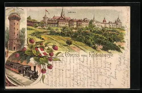 Vorläufer-Lithographie Wien, 1893, Hotel auf dem Kahlenberg, Aussichts-Thurm