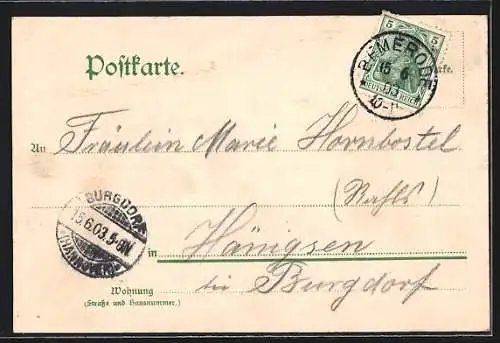 Lithographie Wülfel, Gasthof Seelhorst mit Kutsche