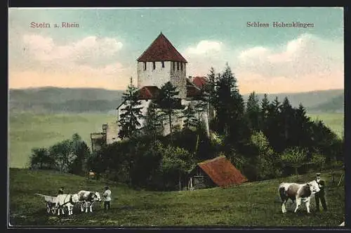 AK Stein a. Rhein, Schloss Hohenklingen