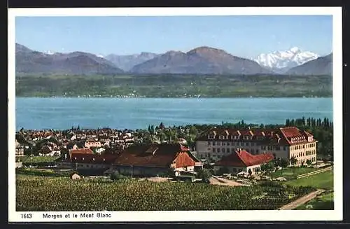 AK Morges, Panorama et le Mont Blanc