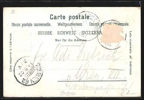 AK Rorschach, Generalansicht der Stadt, Blick auf den See