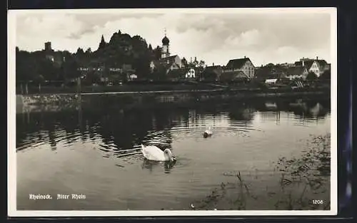 AK Rheineck, Ortsblick vom Rheinufer aus