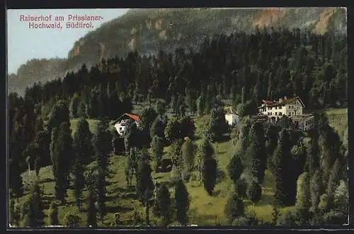 AK Niederdorf / Südtirol, Rainerhof am Prissianer-Hochwald