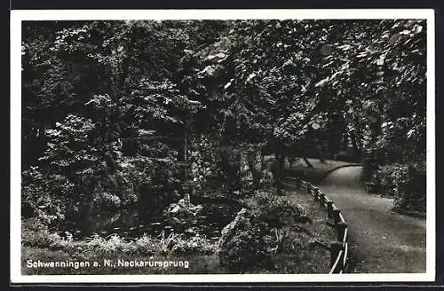 AK Schwenningen a. N., Neckarursprung