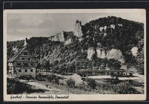 AK Tiergarten / Donautal, Gasthof-Pension Neumühle-Falkenstein