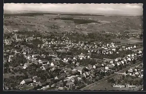 AK Erzingen / Baden, Gesamtansicht, Luftbild