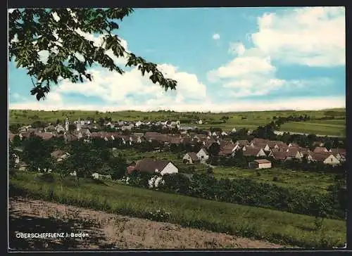 AK Oberschefflenz / Baden, Totale von der Bergwiese aus gesehen