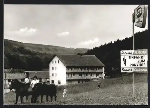 AK Rippberg / Odenwald, Pension Ponnyhof Linkenmühle