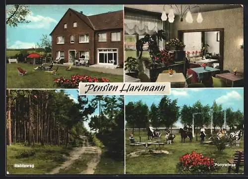 AK Bad Laer-Hardensetten, Pension Hartmann, Heideweg, Ponywiese