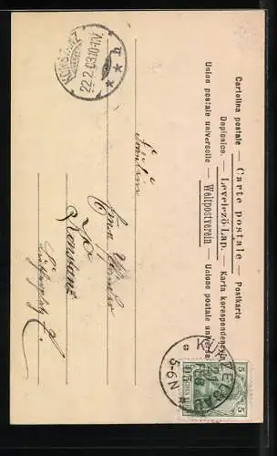 AK Frau mit weissem Spitzen-Hut