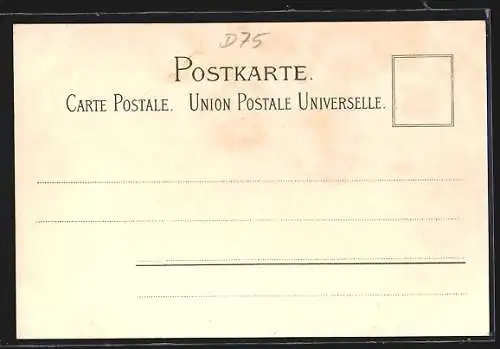 AK Karlsruhe, Schloss mit Anlagen