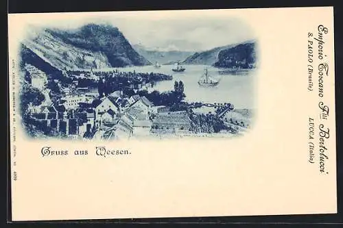 AK Weesen, Blick auf Ort und See