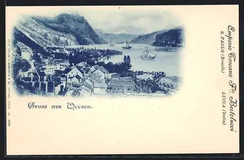 AK Weesen, Blick auf Ort und See