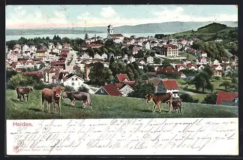 AK Heiden, Blick über die Dächer