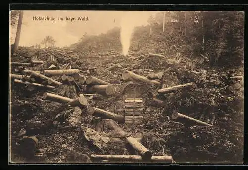 AK Holzschlag im bayr. Wald, Forstwirtschaft