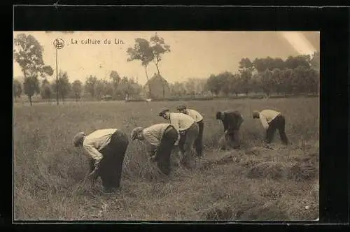 AK La culture du Lin, Flachs-Ernte