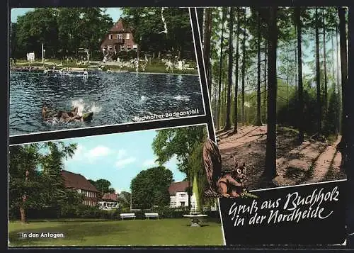 AK Buchholz in der Nordheide, Badeanstalt, Anlagen und Wald