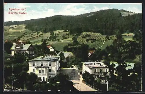 AK Agnetendorf, Totalansicht mit Bayers Hotel