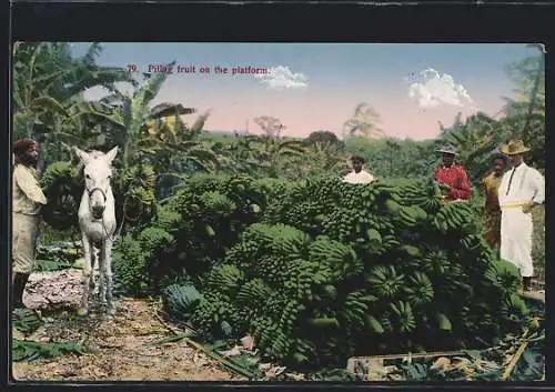 AK Costa Rica, Piling fruit on the platform