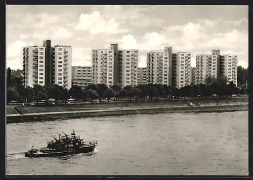 AK Köln-Riehl, Blick über den Rhein