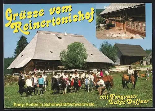 AK Schönwald / Schwarzwald, Reinertonishof, Ponyvater Lukas Duffner, Heidenhof