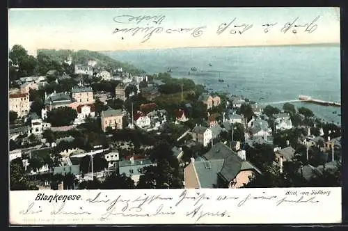 AK Hamburg-Blankenese, Ortsansicht aus der Vogelschau