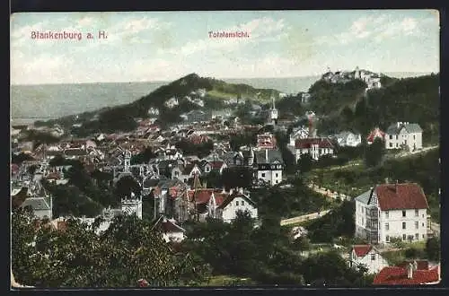 AK Blankenburg / Harz, Ortsansicht aus der Vogelschau