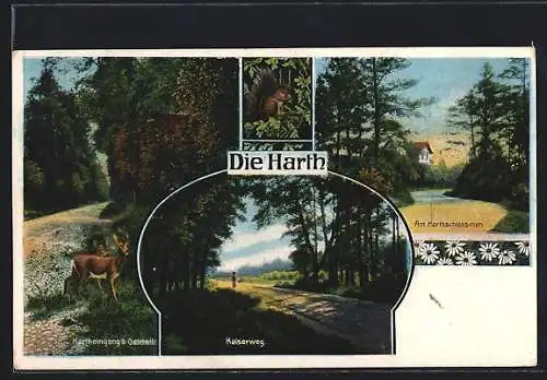 AK Zwenkau, Am Harthschlösschen, Kaiserweg