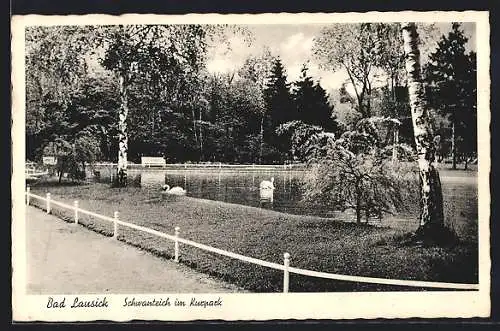 AK Bad Lausick, Schwanteich im Kurpark