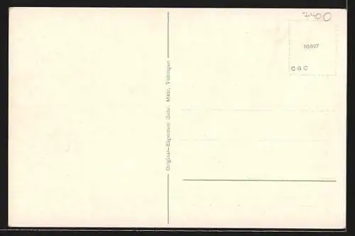 AK Tübingen, Schloss und Alleenbrücke