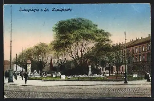 AK Ludwigshafen a. Rh., Denkmal und Litfasssäule am Ludwigsplatz