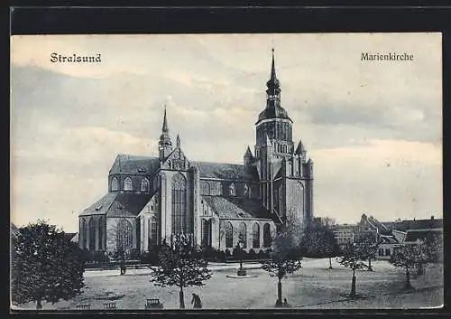 AK Stralsund, Marienkirche mit Umgebung