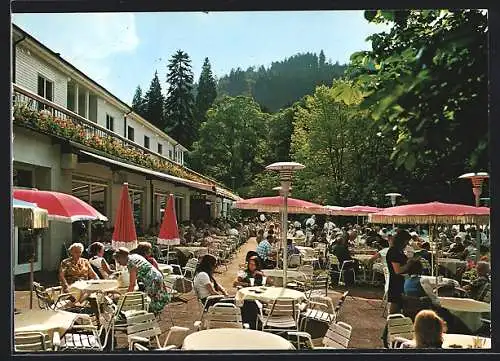 AK Wildbad /Schwarzwald, Trinkhalle und Kurpark-Restaurant-Cafe