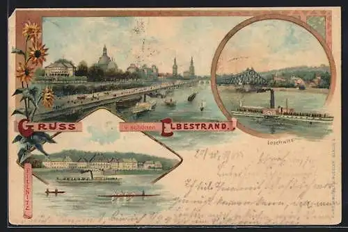 Lithographie Dresden-Loschwitz, Ortsansicht, Elbebrücke mit Dampfer
