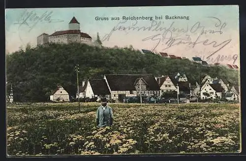 AK Reichenberg bei Backnang, Ortsansicht mit Schloss