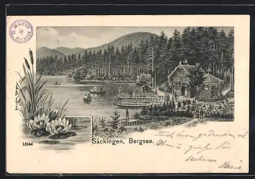 Künstler-AK Bad Säckingen, Hotel-Etablissement am Bergsee