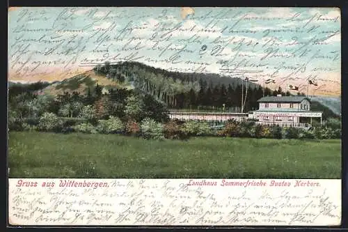 Künstler-AK Hamburg-Wittenbergen, Landhaus Sommerfrische