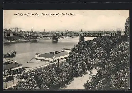 AK Ludwigshafen a. Rh., Rheinpromenade und Rheinbrücke