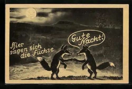 AK Füchse sagen sich Gute Nacht