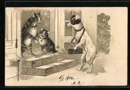 AK Terrier mit Bauchladen und Katzen