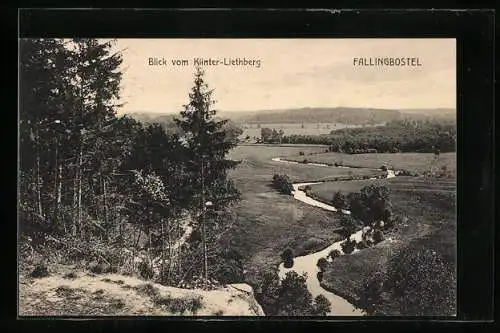 AK Fallingbostel, Blick vom Klinter-Liethberg