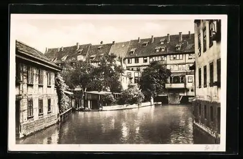 AK Erfurt, Am Dämmchen