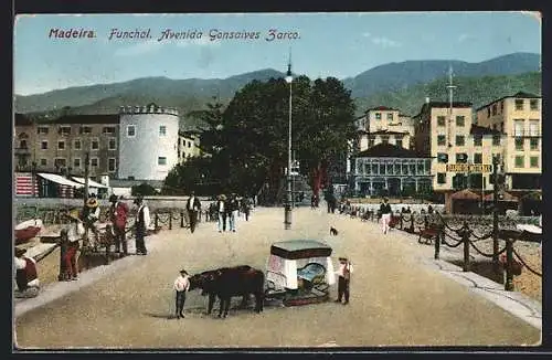 AK Funchal, Avenida Gonsalves Zarco