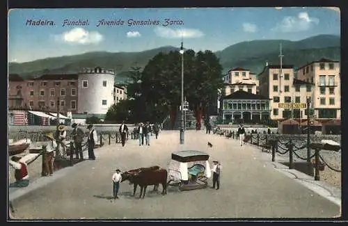 AK Funchal, Avenida Gonsalves Zarco