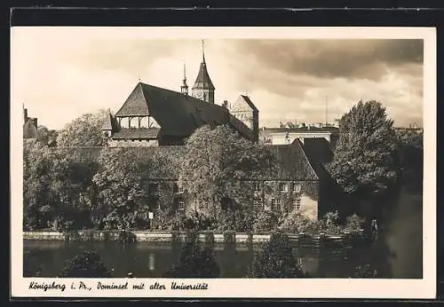 AK Königsberg /Pr., Dominsel mit alter Universität