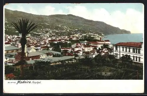 AK Madeira, Funchal, Totale vom Berg aus zur Küste