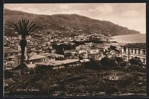 AK Funchal, Panorama