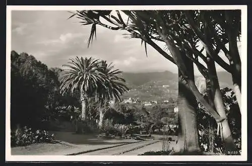 AK Funchal-Madeira, View from the British Country Club