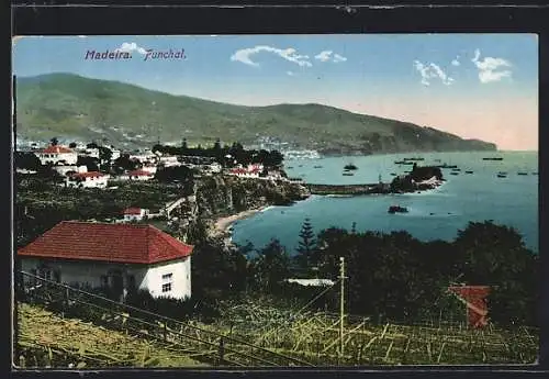 AK Funchal / Madeira, Teilansicht der Ortschaft